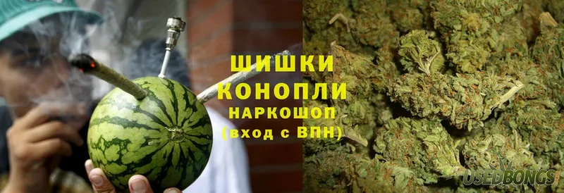 Канабис White Widow  Александров 